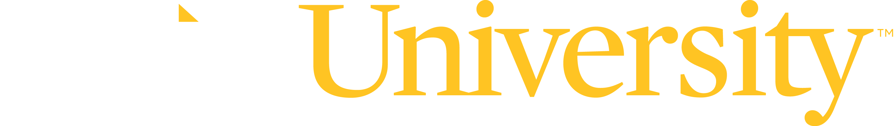 Point University Office of Information Technology